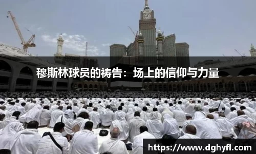 百乐博